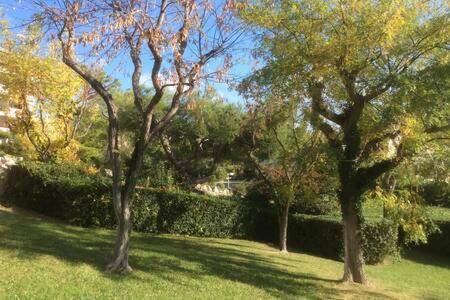 Cassis 4Pers Vue Mer Wifi Tennis Parking Piscine Zewnętrze zdjęcie